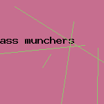 ass munchers