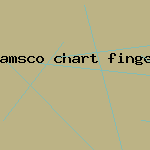 amsco chart fingering flute