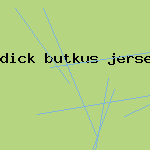 dick butkus jersey card