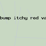 bump itchy red vagina