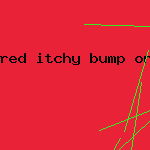 red itchy bump on vagina