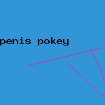penis pokey
