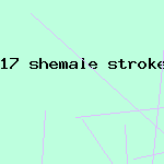 17 shemale strokers